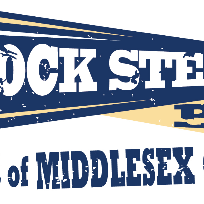 Rock Steady Boxing @ the JCC - logo